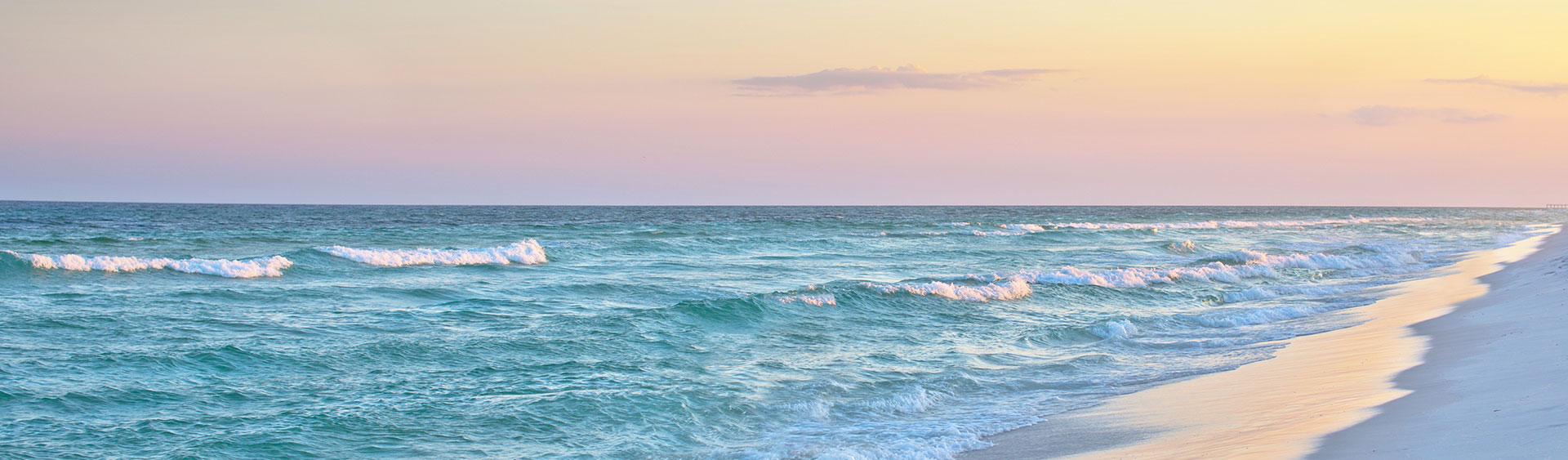 Collier County Dental Association